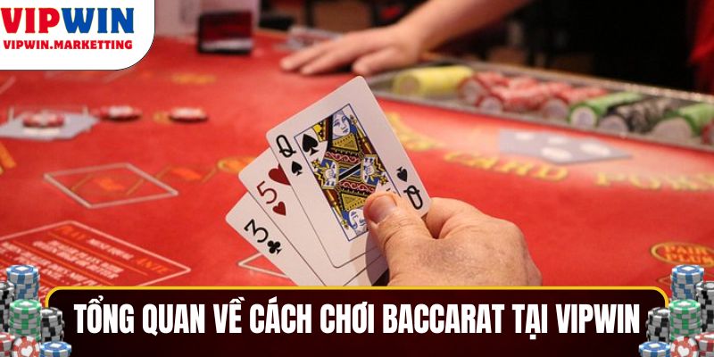 Tổng quan chung về cách chơi Baccarat tại Vipwin