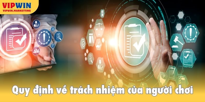 Quy định về trách nhiệm của người chơi đăng ký Vipwin