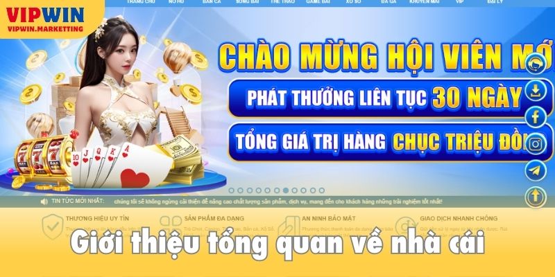 Giới thiệu VIPWIN - Nền tảng số 1 về game đổi thưởng