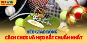 Cách Chơi Kèo Giao Bóng Vipwin Và Mẹo Bắt Chuẩn Nhất
