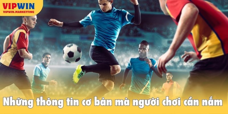 Chia sẻ kinh nghiệm kèo cược phạt góc nắm chắc phần thắng trong tay