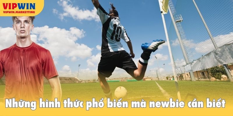 Những hình thức kiểu cược phổ biến mà newbie cần biết