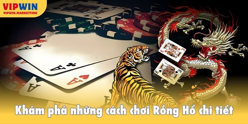 Khám phá những cách chơi Rồng Hổ chi tiết