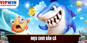 Mẹo Chơi Bắn Cá Cho Người Mới 2025 – Chơi Là Thắng